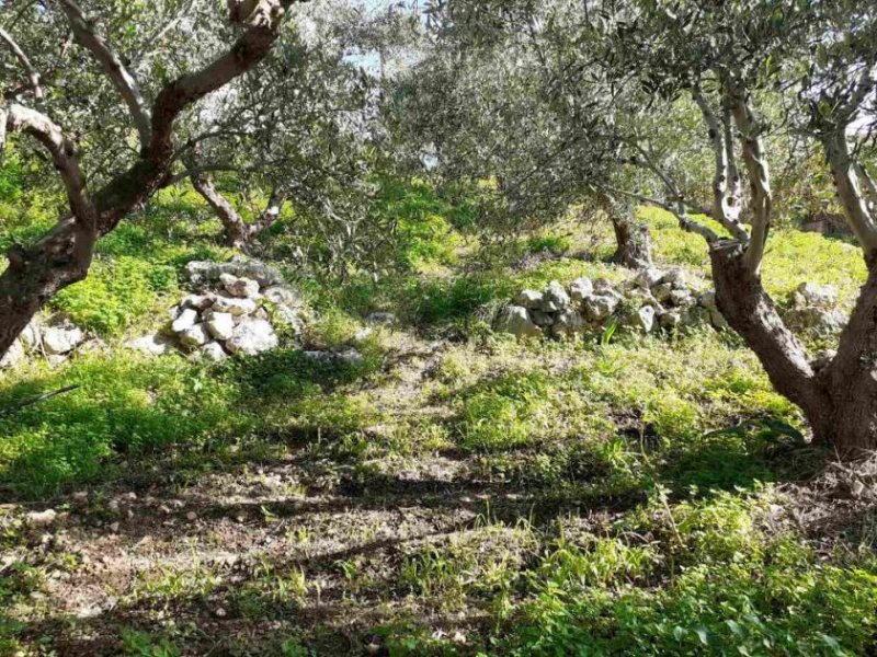 Plaka bei Chania Grundstück mit Meerblick an seltener Stelle – im Dorf Plaka Grundstück kaufen